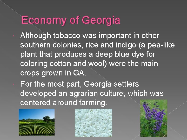 Economy of Georgia Although tobacco was important in other southern colonies, rice and indigo Economy of Georgia Although tobacco was important in other southern colonies, rice and indigo
