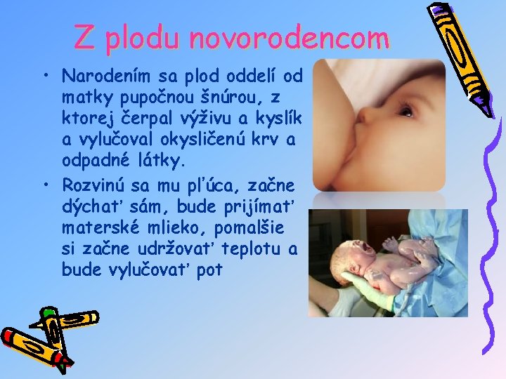 Z plodu novorodencom • Narodením sa plod oddelí od matky pupočnou šnúrou, z ktorej