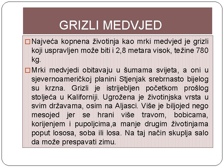 GRIZLI MEDVJED � Najveća kopnena životinja kao mrki medvjed je grizli koji uspravljen može