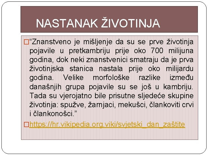 NASTANAK ŽIVOTINJA �“Znanstveno je mišljenje da su se prve životinja pojavile u pretkambriju prije