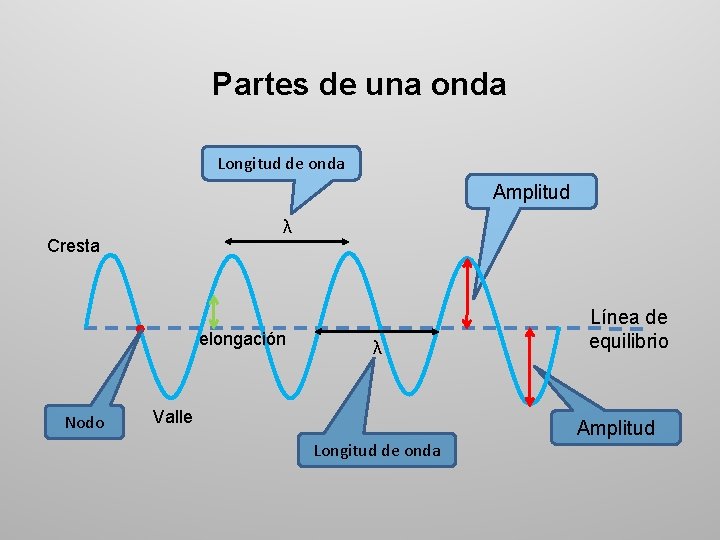 Partes de una onda Longitud de onda Amplitud λ Cresta elongación Nodo λ Valle