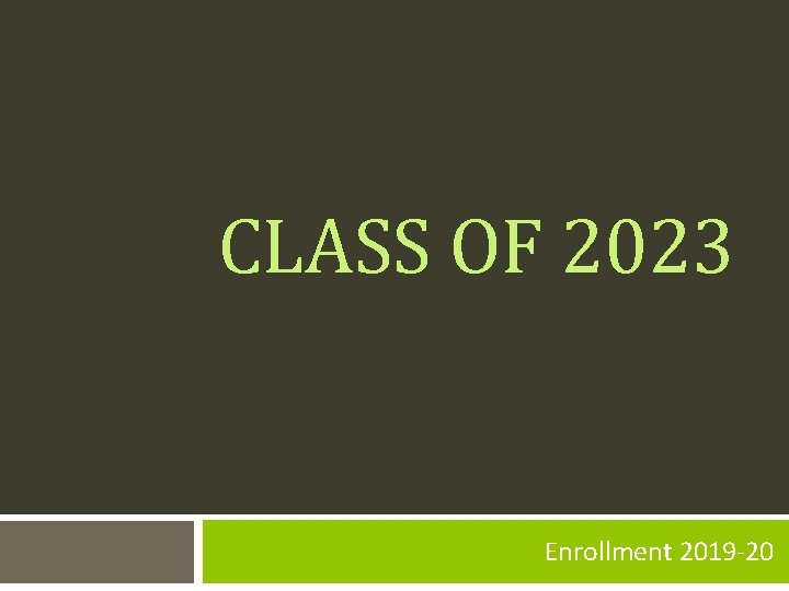 CLASS OF 2023 Enrollment 2019 -20 
