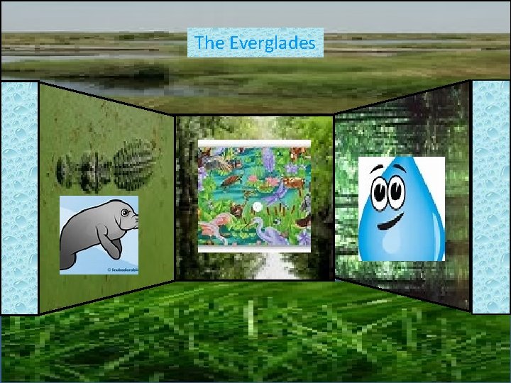 The Everglades 