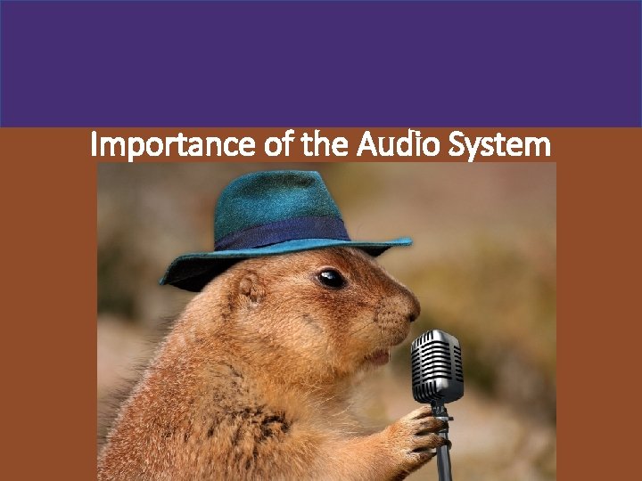 Importance of the Audio System 