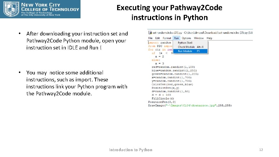 Executing your Pathway 2 Code instructions in Python • After downloading your instruction set