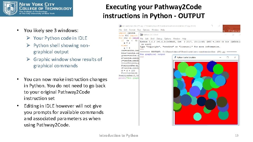 Executing your Pathway 2 Code instructions in Python - OUTPUT • You likely see