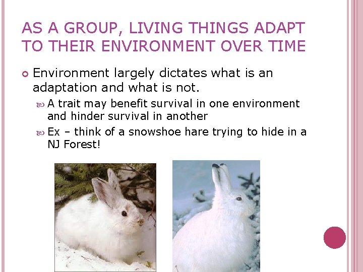 AS A GROUP, LIVING THINGS ADAPT TO THEIR ENVIRONMENT OVER TIME Environment largely dictates