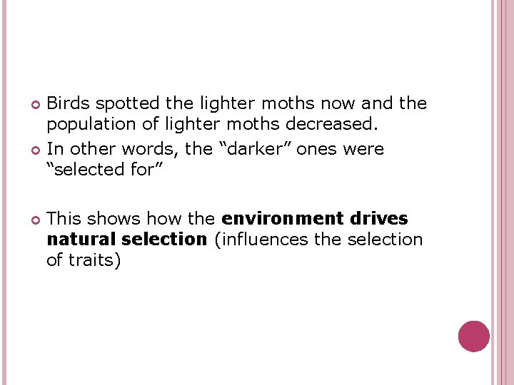 Birds spotted the lighter moths now and the population of lighter moths decreased. In