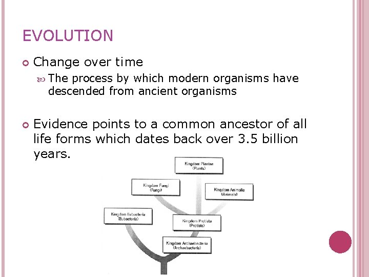 EVOLUTION Change over time The process by which modern organisms have descended from ancient