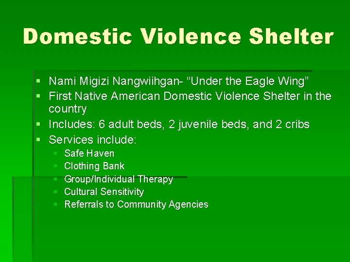 Domestic Violence Shelter § Nami Migizi Nangwiihgan- “Under the Eagle Wing” § First Native