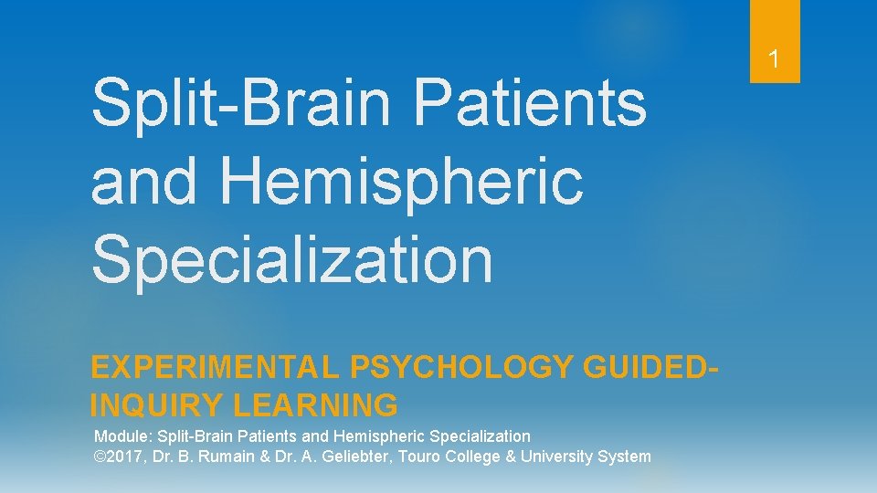 Split-Brain Patients and Hemispheric Specialization EXPERIMENTAL PSYCHOLOGY GUIDEDINQUIRY LEARNING Module: Split-Brain Patients and Hemispheric