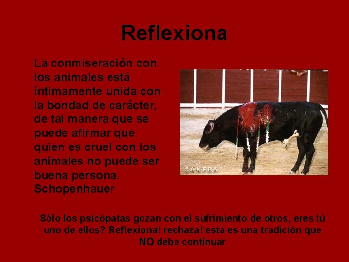 Reflexiona La conmiseración con los animales está íntimamente unida con la bondad de carácter,