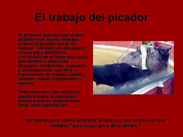 El trabajo del picador Si el torero percibe que el toro embiste con mucha