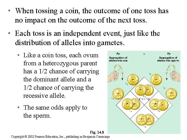  • When tossing a coin, the outcome of one toss has no impact