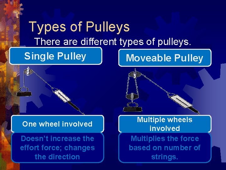 Types of Pulleys There are different types of pulleys. Single Pulley Moveable Pulley One