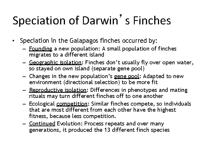 Speciation of Darwin’s Finches • Speciation in the Galapagos finches occurred by: – Founding