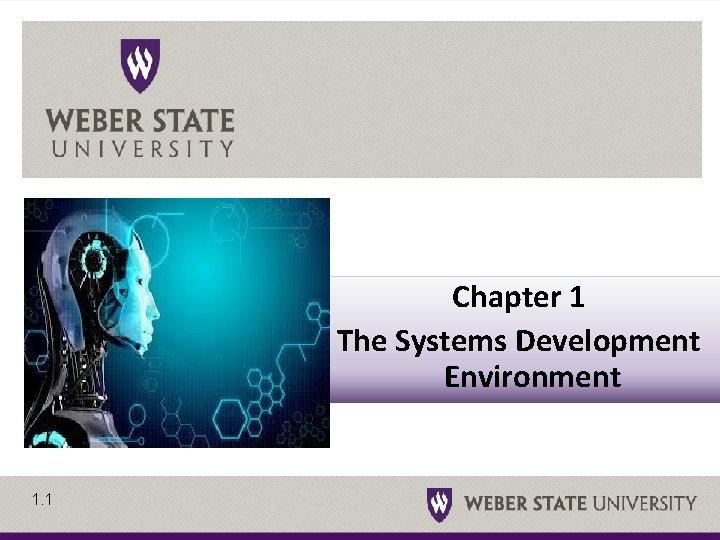 Chapter 1 The Systems Development Environment 1 1