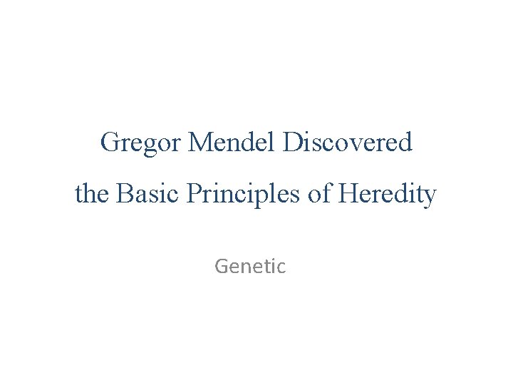 Gregor Mendel Discovered the Basic Principles of Heredity Genetic 