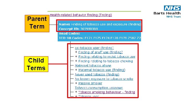 Parent Term Child Terms 