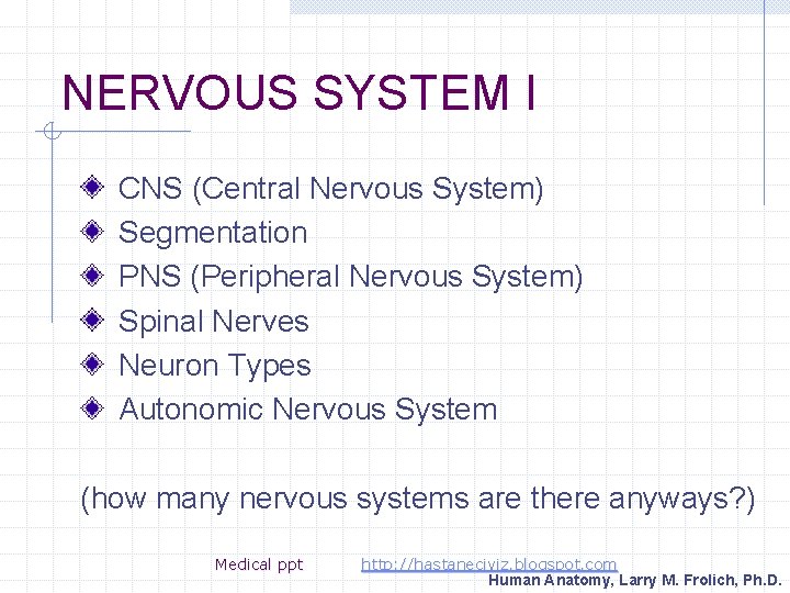 NERVOUS SYSTEM I CNS (Central Nervous System) Segmentation PNS (Peripheral Nervous System) Spinal Nerves