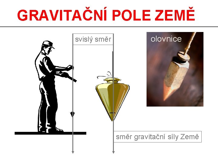 GRAVITAČNÍ POLE ZEMĚ svislý směr olovnice směr gravitační síly Země 