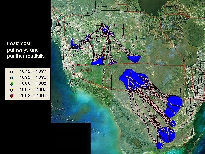 Least cost pathways and panther roadkills 