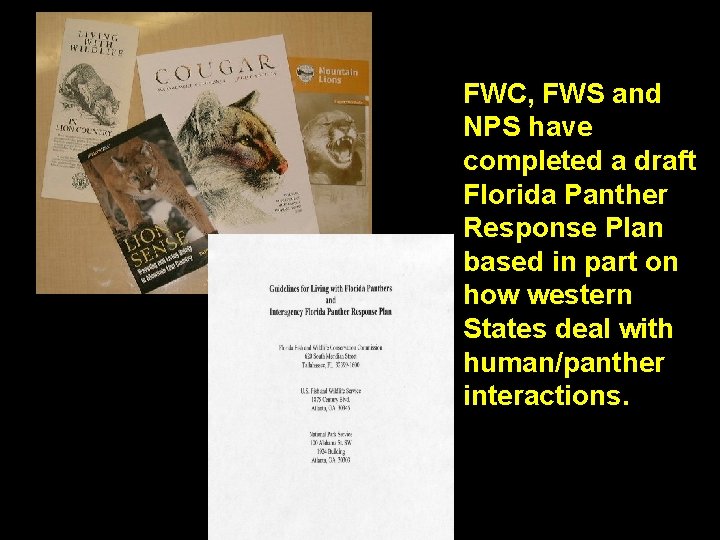 FWC, FWS and NPS have completed a draft Florida Panther Response Plan based in