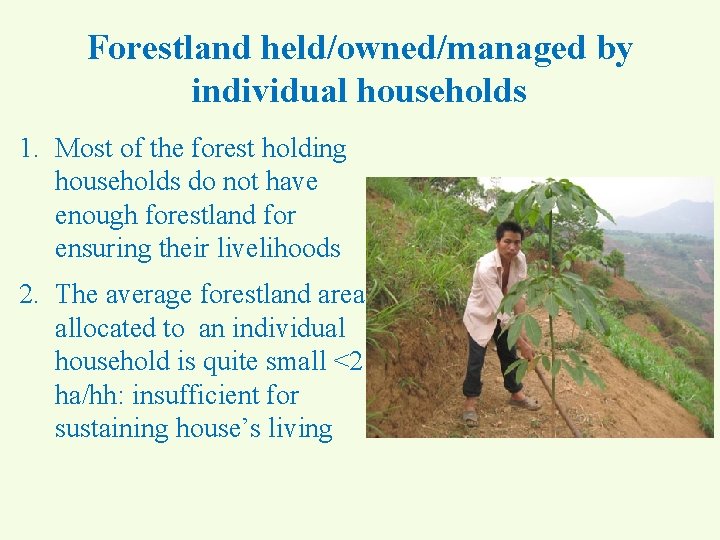 Forestland held/owned/managed by individual households 1. Most of the forest holding households do not