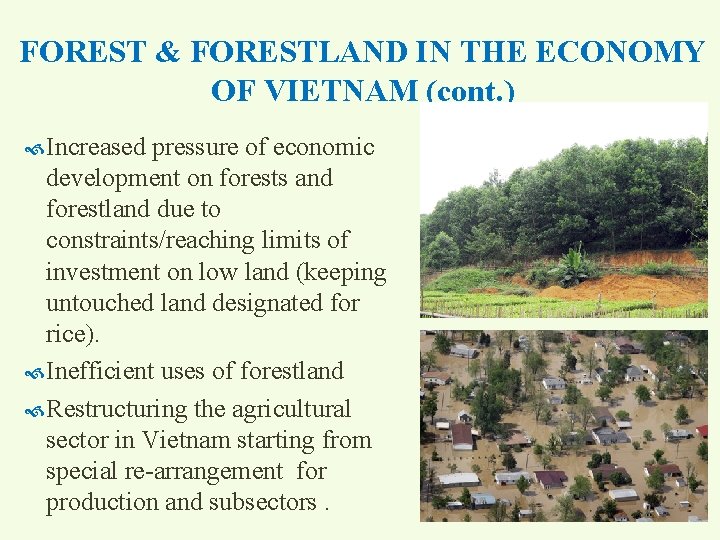 FOREST & FORESTLAND IN THE ECONOMY OF VIETNAM (cont. ) Increased pressure of economic