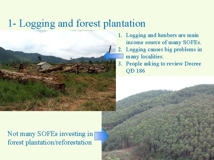 1 - Logging and forest plantation 1. Logging and lumbers are main income source