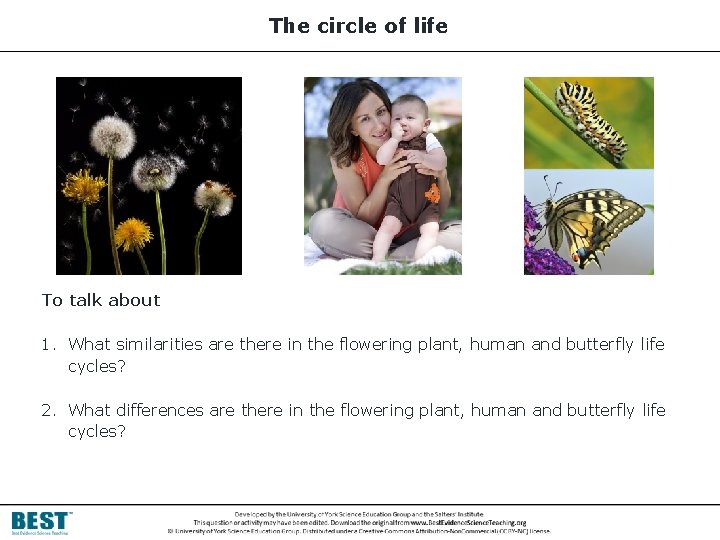 The circle of life To talk about 1. What similarities are there in the