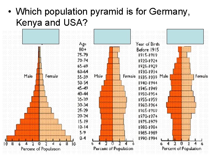  • Which population pyramid is for Germany, Kenya and USA? 