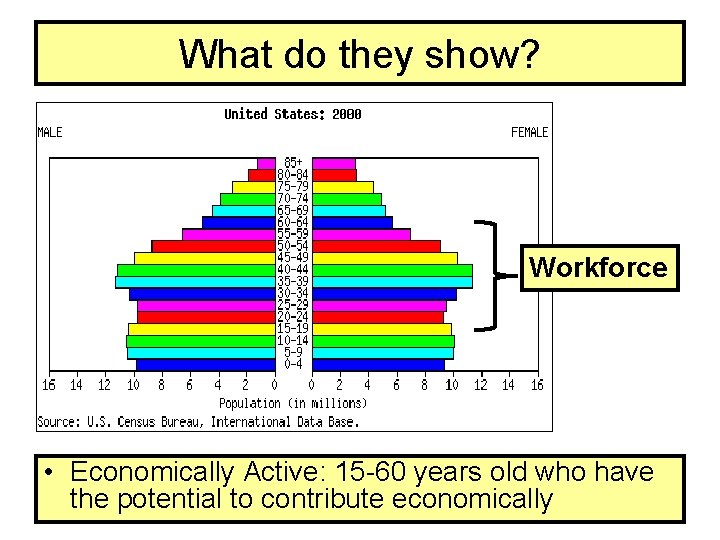 What do they show? Workforce • Economically Active: 15 -60 years old who have