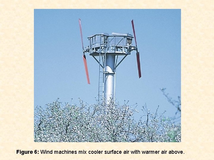 Figure 6: Wind machines mix cooler surface air with warmer air above. 