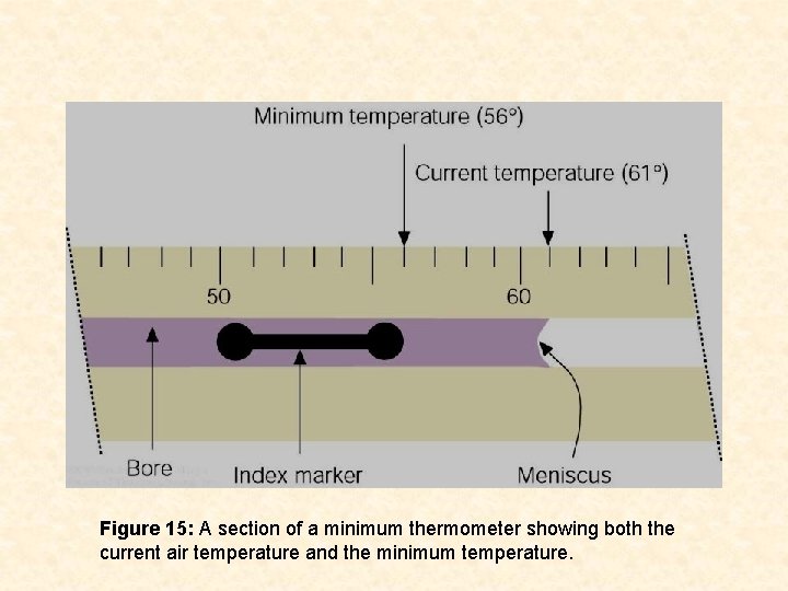 Figure 15: A section of a minimum thermometer showing both the current air temperature