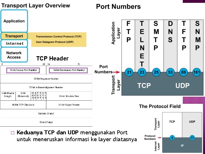 TCP Header � Keduanya TCP dan UDP menggunakan Port untuk meneruskan informasi ke layer