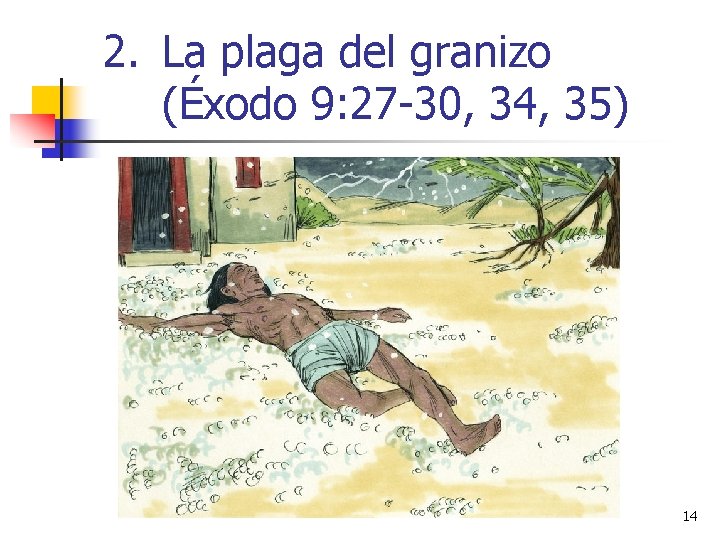 2. La plaga del granizo (Éxodo 9: 27 -30, 34, 35) 14 