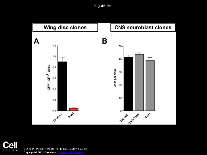 Figure S 6 Cell 2011 146435 -447 DOI: (10. 1016/j. cell. 2011. 06. 040)