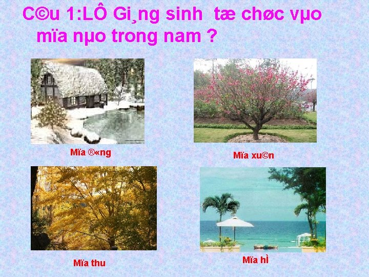 C©u 1: LÔ Gi¸ng sinh tæ chøc vµo mïa nµo trong nam ? Mïa