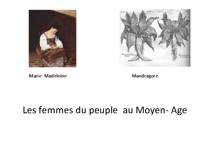 Marie- Madeleine Mandragore Les femmes du peuple au Moyen- Age 