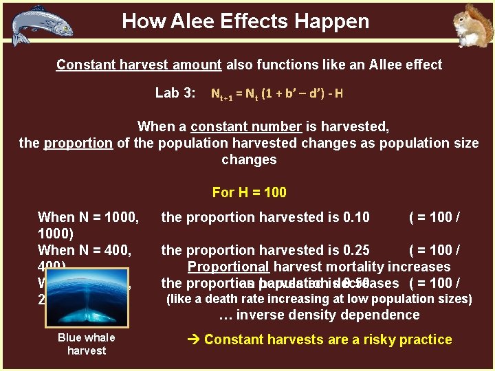FW 364 Ecological Problem Solving Class 11 Population