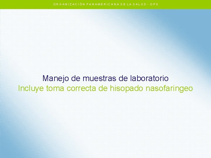 ORGANIZACIÓN PANAMERICANA DE LA SALUD - OPS Manejo de muestras de laboratorio Incluye toma ORGANIZACIÓN PANAMERICANA DE LA SALUD - OPS Manejo de muestras de laboratorio Incluye toma