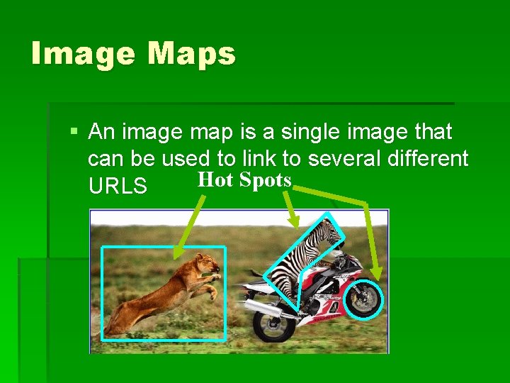 Image Maps § An image map is a single image that can be used