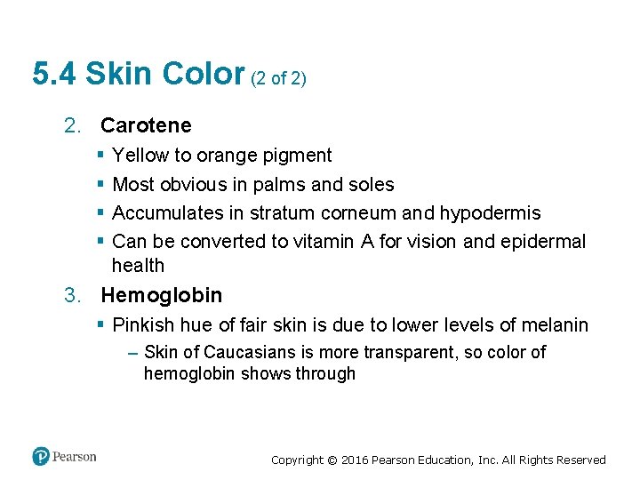 5. 4 Skin Color (2 of 2) 2. Carotene § § Yellow to orange