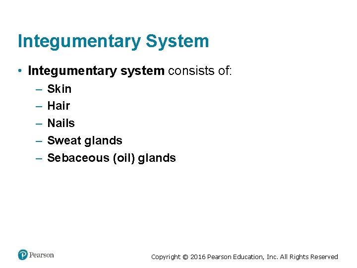 Integumentary System • Integumentary system consists of: – – – Skin Hair Nails Sweat