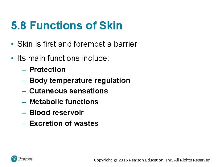 5. 8 Functions of Skin • Skin is first and foremost a barrier •