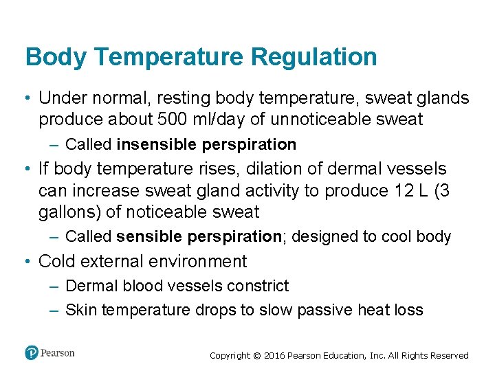 Body Temperature Regulation • Under normal, resting body temperature, sweat glands produce about 500