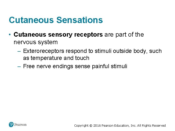 Cutaneous Sensations • Cutaneous sensory receptors are part of the nervous system – Exteroreceptors