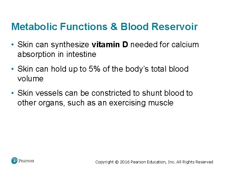 Metabolic Functions & Blood Reservoir • Skin can synthesize vitamin D needed for calcium