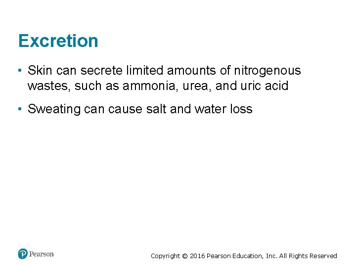 Excretion • Skin can secrete limited amounts of nitrogenous wastes, such as ammonia, urea,